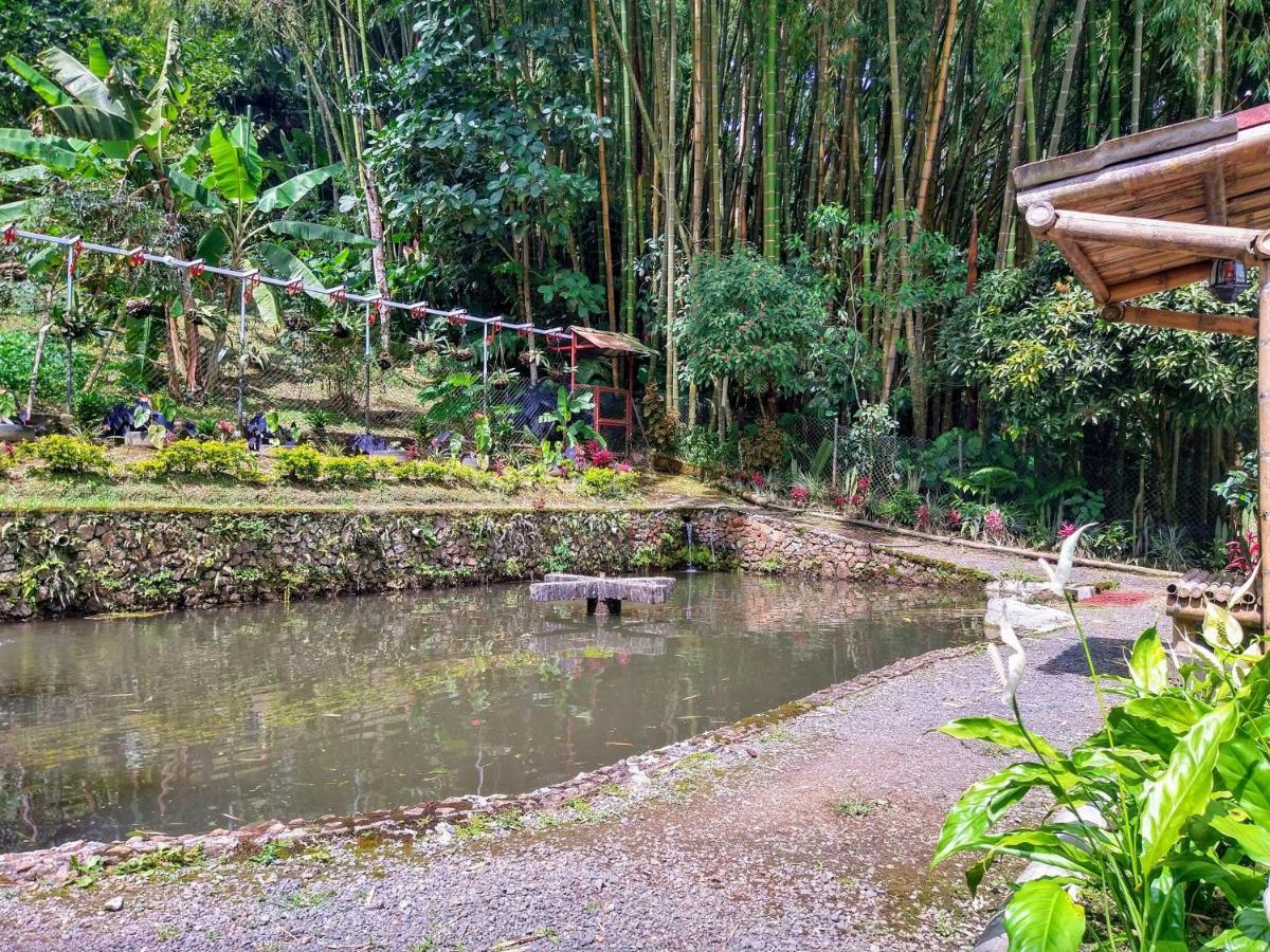 Finca Turistica Los Rosales Pereira Buitenkant foto