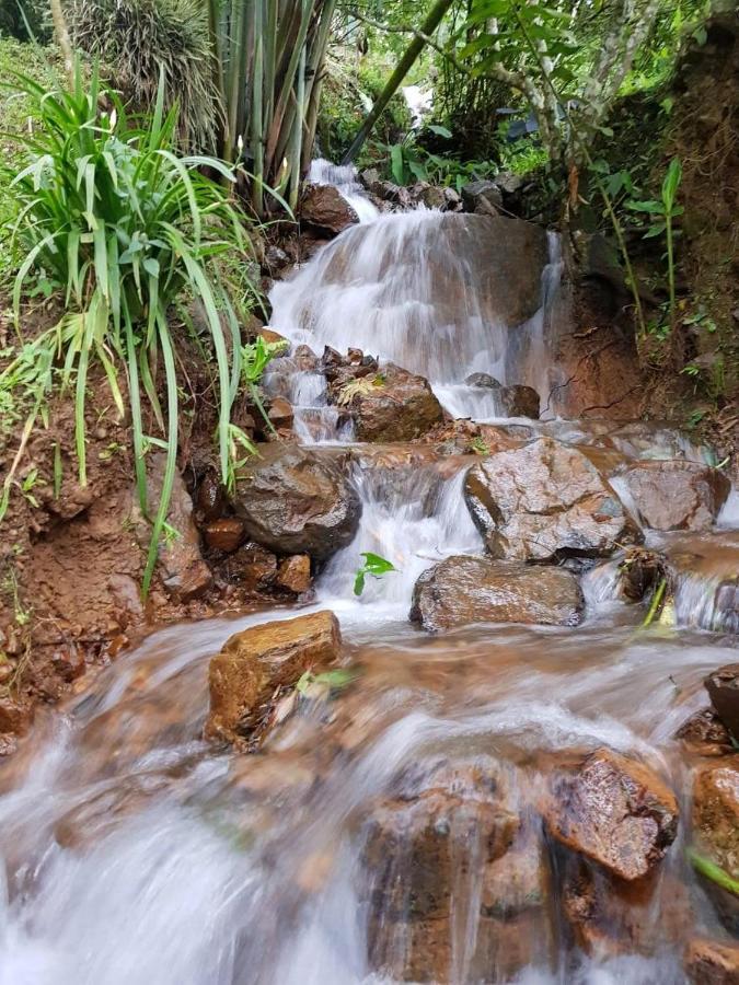 Finca Turistica Los Rosales Pereira Buitenkant foto